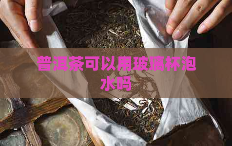 普洱茶可以用玻璃杯泡水吗