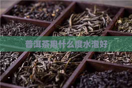 普洱茶用什么度水泡好