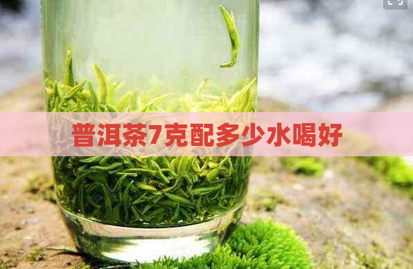 普洱茶7克配多少水喝好