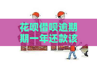 花呗借呗逾期期一年还款该如何操作