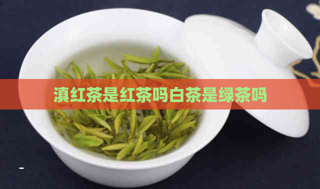 滇红茶是红茶吗白茶是绿茶吗