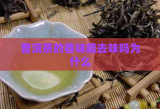 普洱茶的香味能去味吗为什么