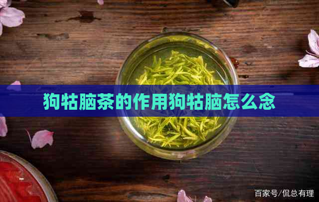 狗牯脑茶的作用狗牯脑怎么念