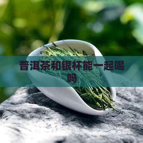 普洱茶和银杯能一起喝吗