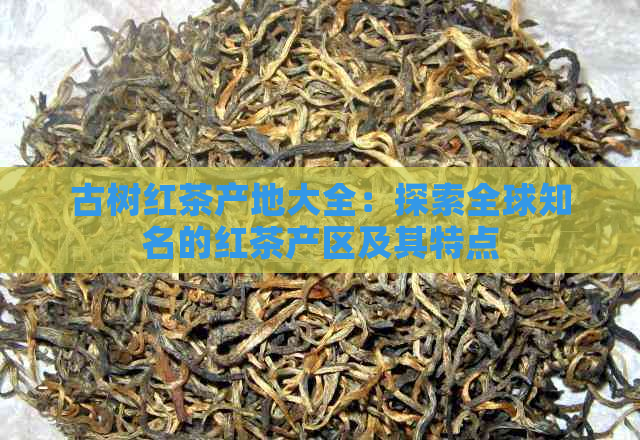 古树红茶产地大全：探索全球知名的红茶产区及其特点