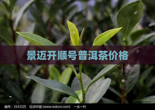 景迈开顺号普洱茶价格