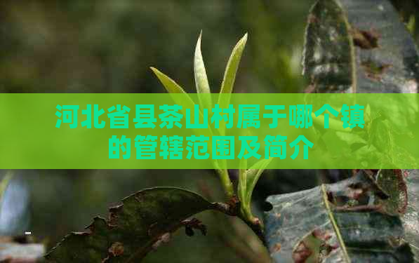 河北省县茶山村属于哪个镇的管辖范围及简介