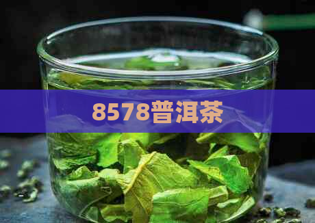 8578普洱茶