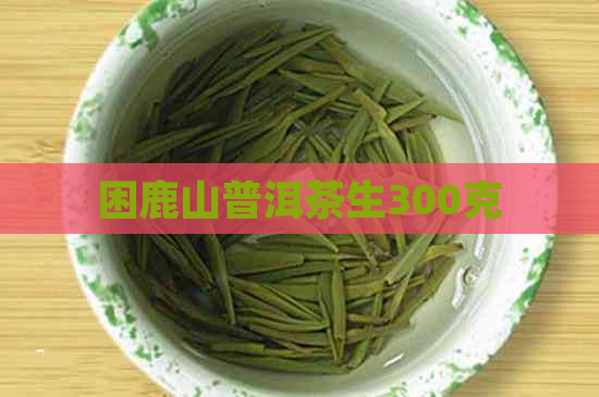 困鹿山普洱茶生300克