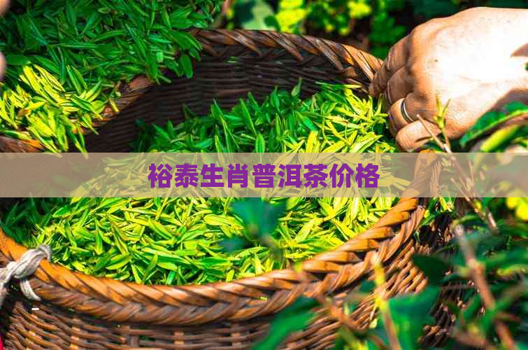 裕泰生肖普洱茶价格