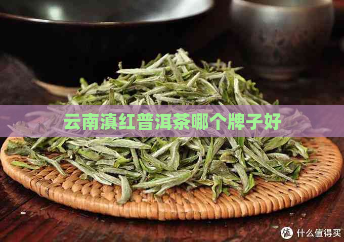 云南滇红普洱茶哪个牌子好