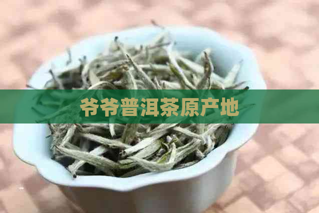 爷爷普洱茶原产地