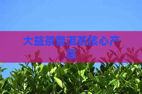 大益茶普洱茶核心产区