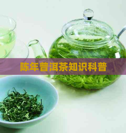 陈年普洱茶知识科普