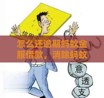 怎么还逾期蚂蚁金服借款，消除蚂蚁信用逾期记录