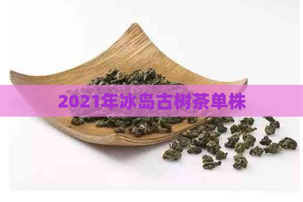 2021年冰岛古树茶单株