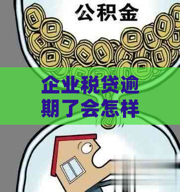 企业税贷逾期了会怎样