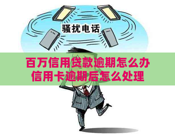 百万信用贷款逾期怎么办信用卡逾期后怎么处理