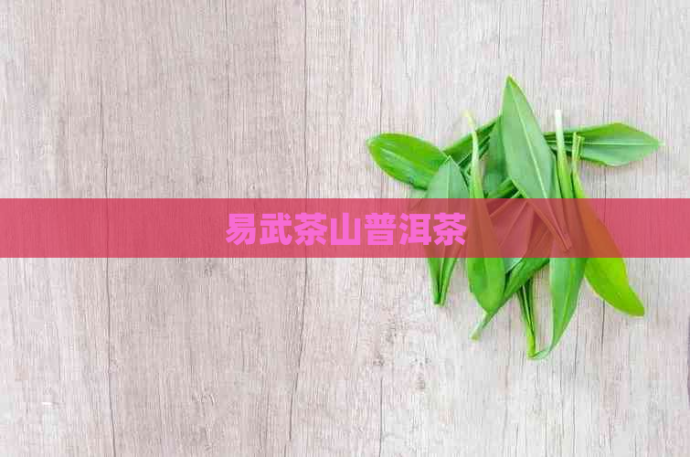 易武茶山普洱茶