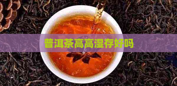 普洱茶高高湿存好吗