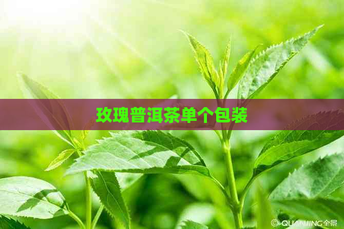 玫瑰普洱茶单个包装