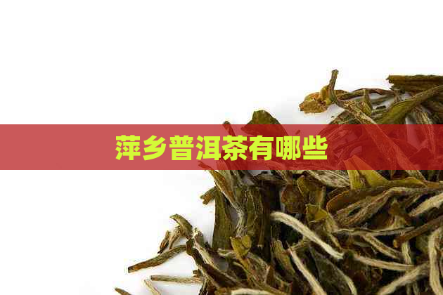 萍乡普洱茶有哪些