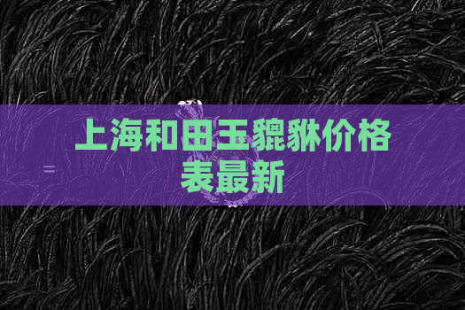 上海和田玉貔貅价格表最新