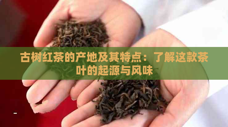 古树红茶的产地及其特点：了解这款茶叶的起源与风味