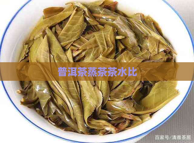 普洱茶蒸茶茶水比