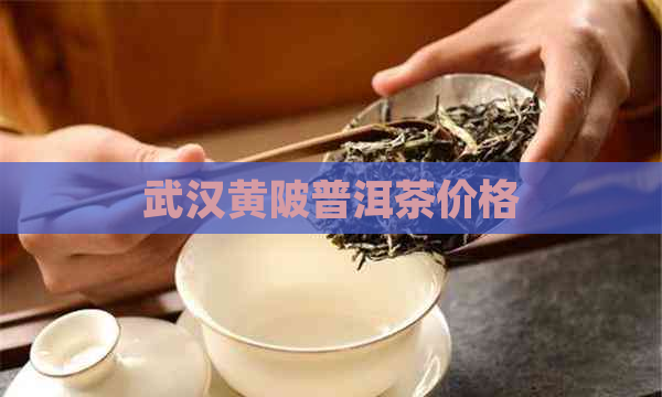 武汉黄陂普洱茶价格