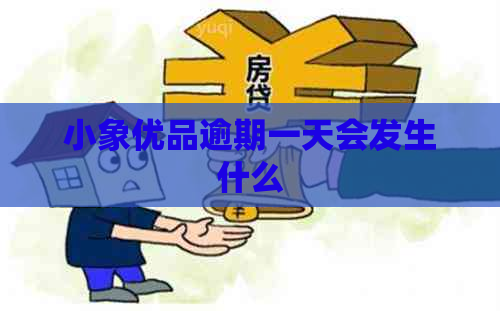 小象优品逾期一天会发生什么