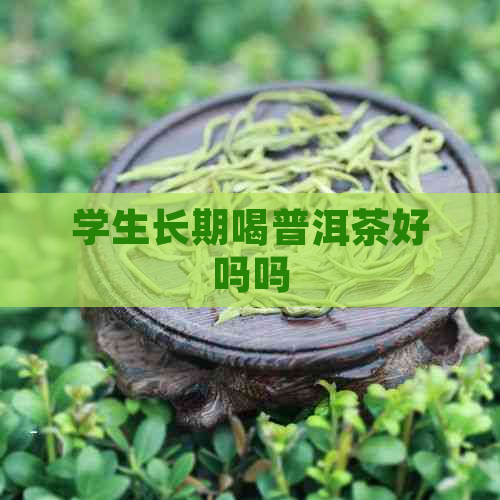 学生长期喝普洱茶好吗吗