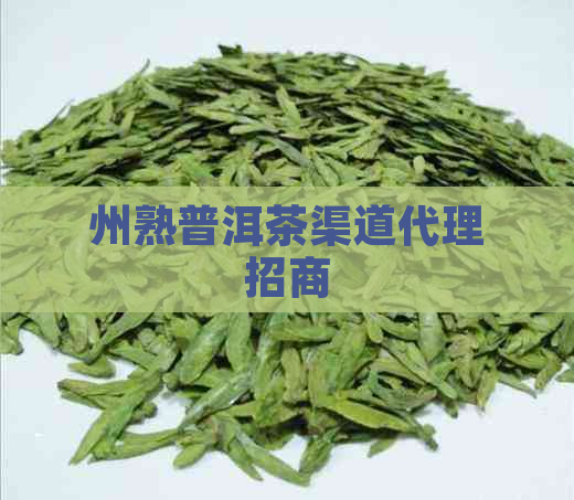 州熟普洱茶渠道代理招商