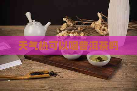 天气热可以喝普洱茶吗