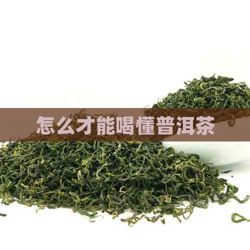 怎么才能喝懂普洱茶