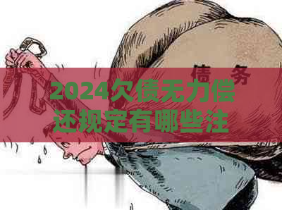 2024欠债无力偿还规定有哪些注意事项