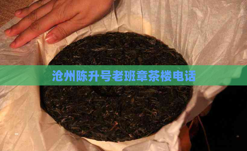 沧州陈升号老班章茶楼电话