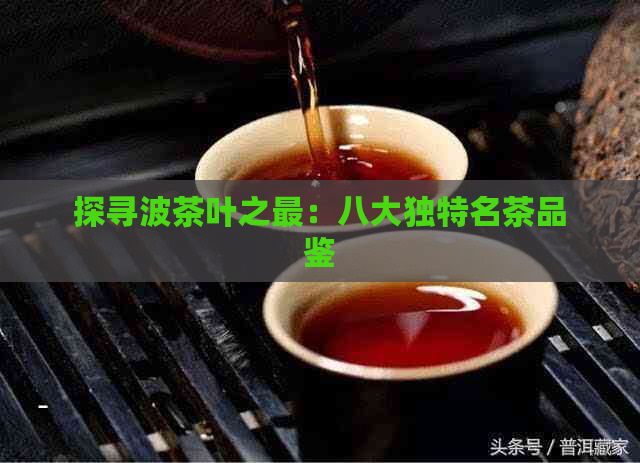 探寻波茶叶之最：八大独特名茶品鉴