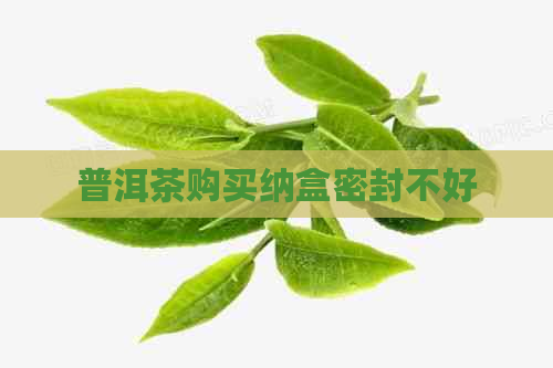 普洱茶购买纳盒密封不好