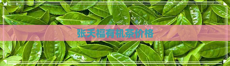 张天福有机茶价格