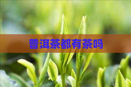 普洱茶都有茶吗