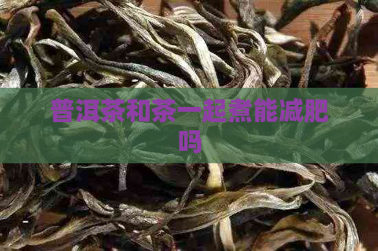 普洱茶和茶一起煮能减肥吗