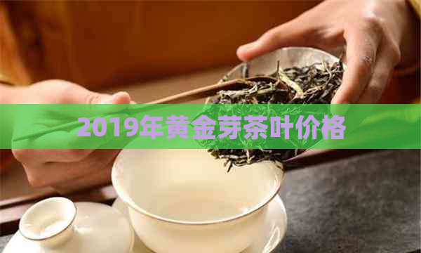 2019年黄金芽茶叶价格