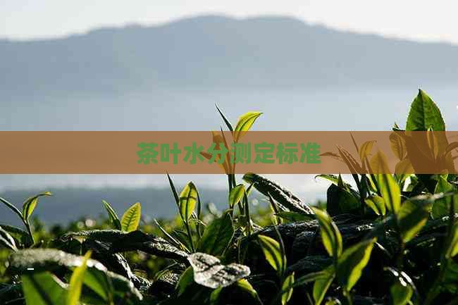 茶叶水分测定标准