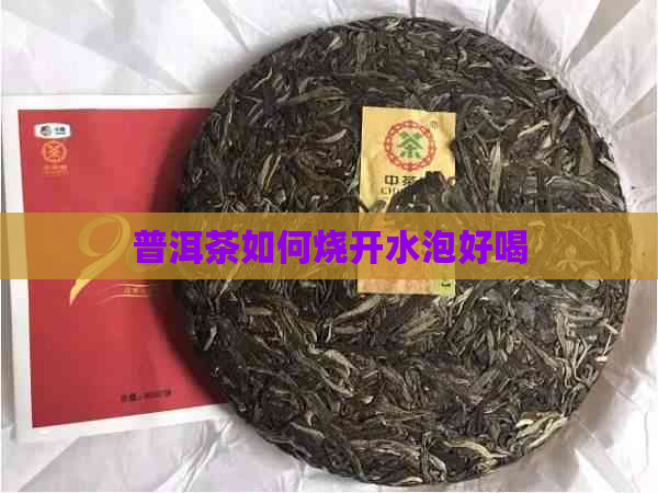 普洱茶如何烧开水泡好喝