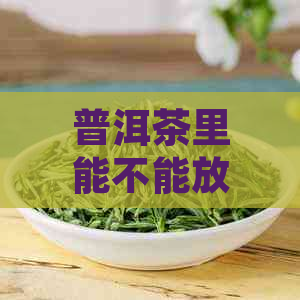 普洱茶里能不能放菊花