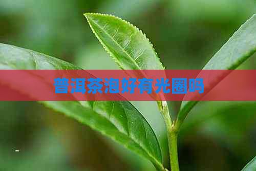 普洱茶泡好有光圈吗