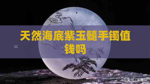 天然海底紫玉髓手镯值钱吗