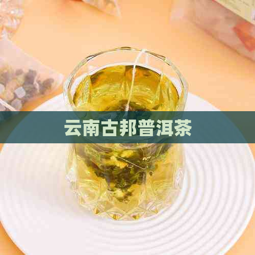 云南古邦普洱茶