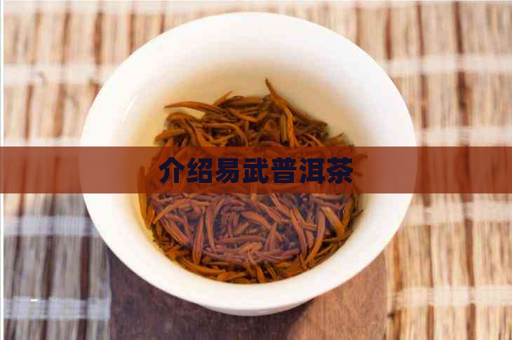 介绍易武普洱茶